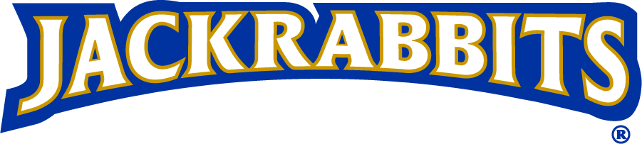 South Dakota State Jackrabbits 2008-Pres Wordmark Logo diy iron on heat transfer